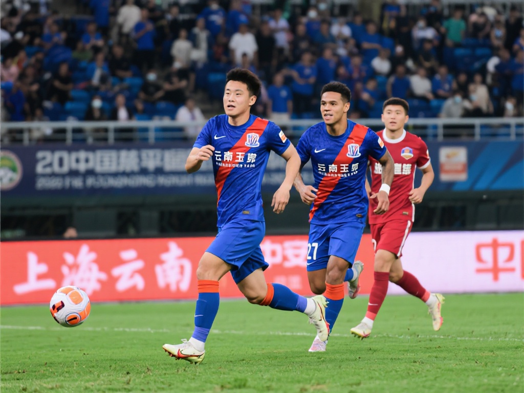 专注于新赛 专注于新赛